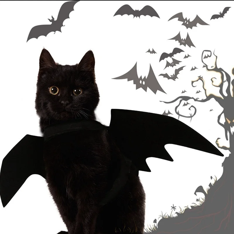ハロウィンゴスロリ(ブラック)わんちゃん猫ちゃん用ハーネスセット 41CpTqKjfYL._SS200_.jpg
