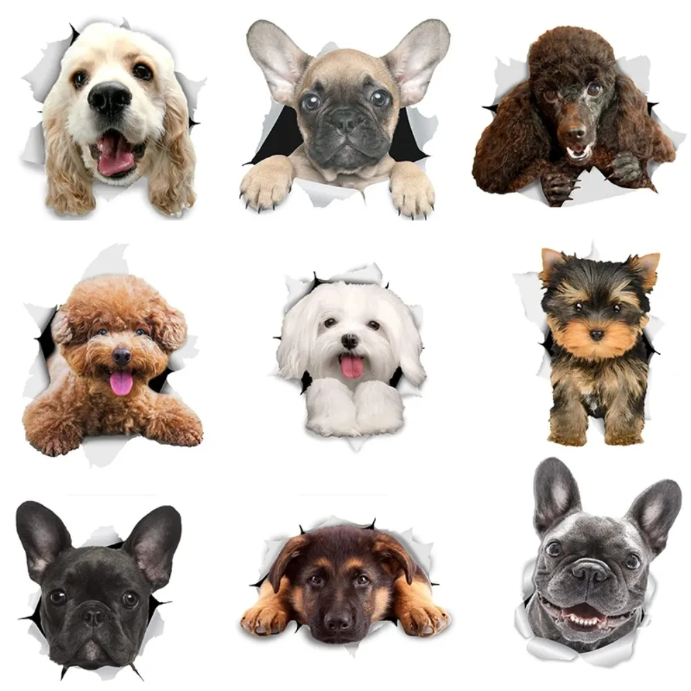 Lovely-3D-Animal-Stickers-Lion-Dog-Jiwa-Teddy-Dog-for-Kids-Room ...