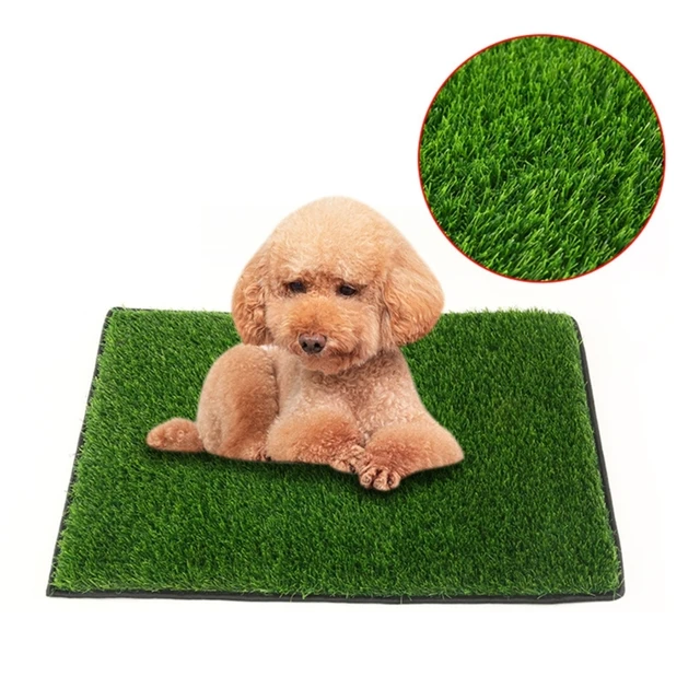 Grand Tapis Pour Chien Couche Culotte Pipi Coussin Absorbant