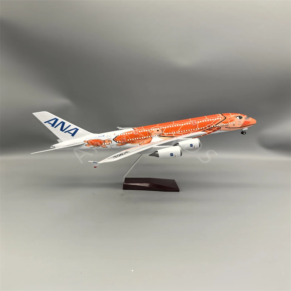 Voor Japan Air ANA Airbus A380 Cartoon Zeeschildpad Voor Japan Air ANA Airbus A380 Cartoon Zeeschildpad