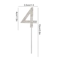 B05-Silver 4