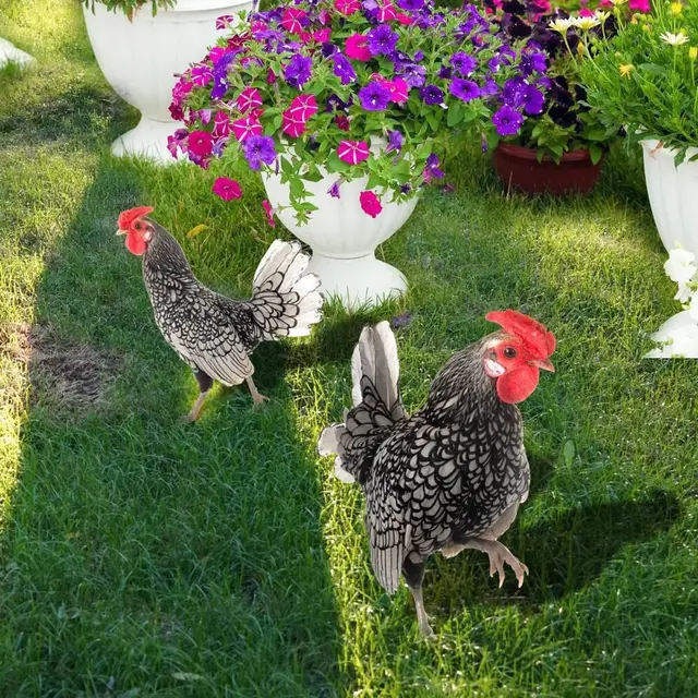 Akrilkakas Szobrok Kétoldalas Nyomtatási Szoborok Csirke Dekorációk Kerti Díszek Kültéri Udvari Dekoráció - Image 4