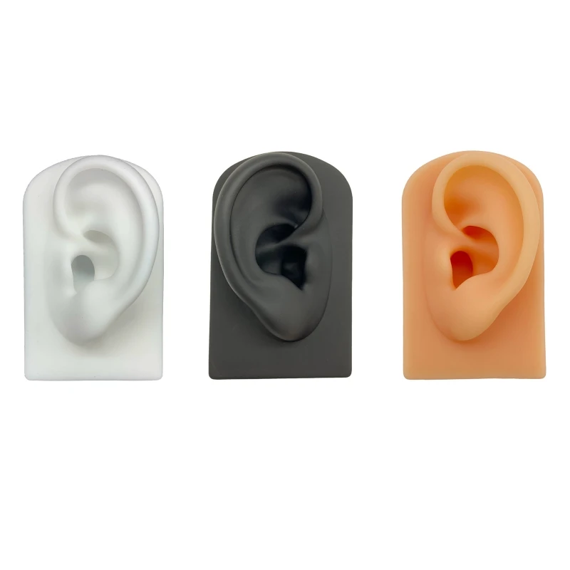 Silicone Simulation Human Ear Model Puncture and Perforation Practice Teaching Display Props Ear Studs Display Stand