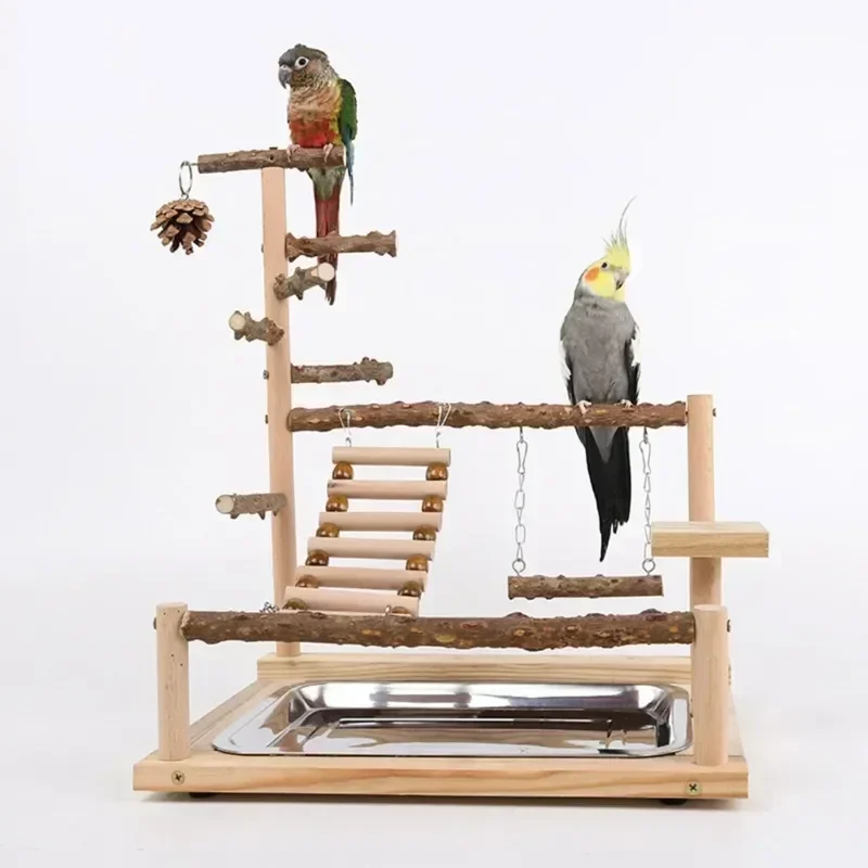 

Stand Perch Playstand Toy Swing Chewing Wooden With Parrot Cage Bird Playground Beads Hotsale