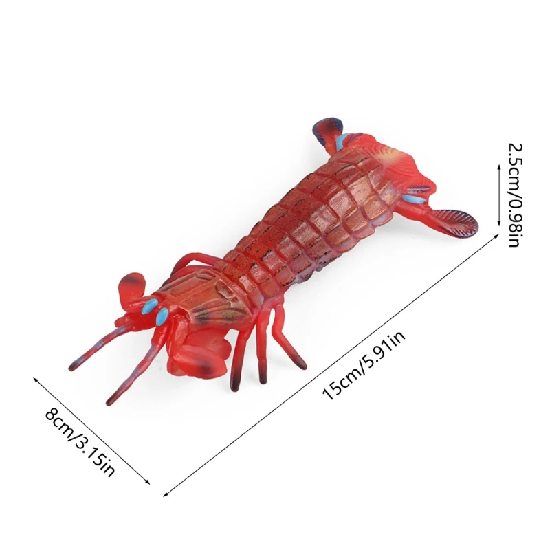 Simulation Animal Figurine Model Toy Observation Display Child Educational Toy