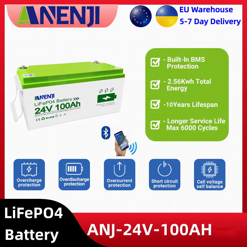 12V 24V Lifepo4 Battery 2.56KWH 100Ah Built-in 100A BMS 6000+ Deep Cycle Backup Power For Camping Car Solar Power System