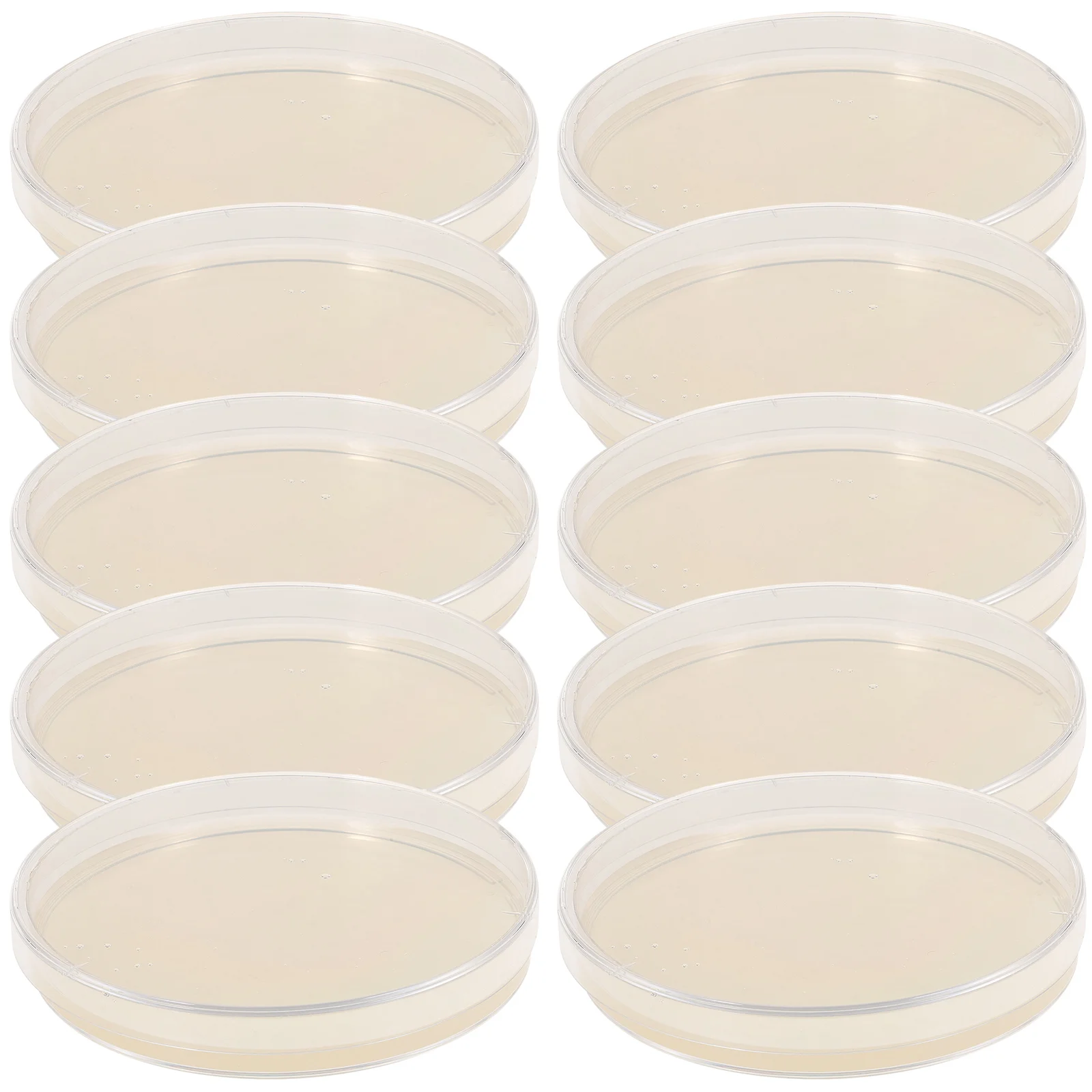 Agar Plates Mushrooms Agar Agar Powder Agar Agar Powder Pre Poured Agar Plates Lb Agar Plates Pre Poured Nutrient Agar