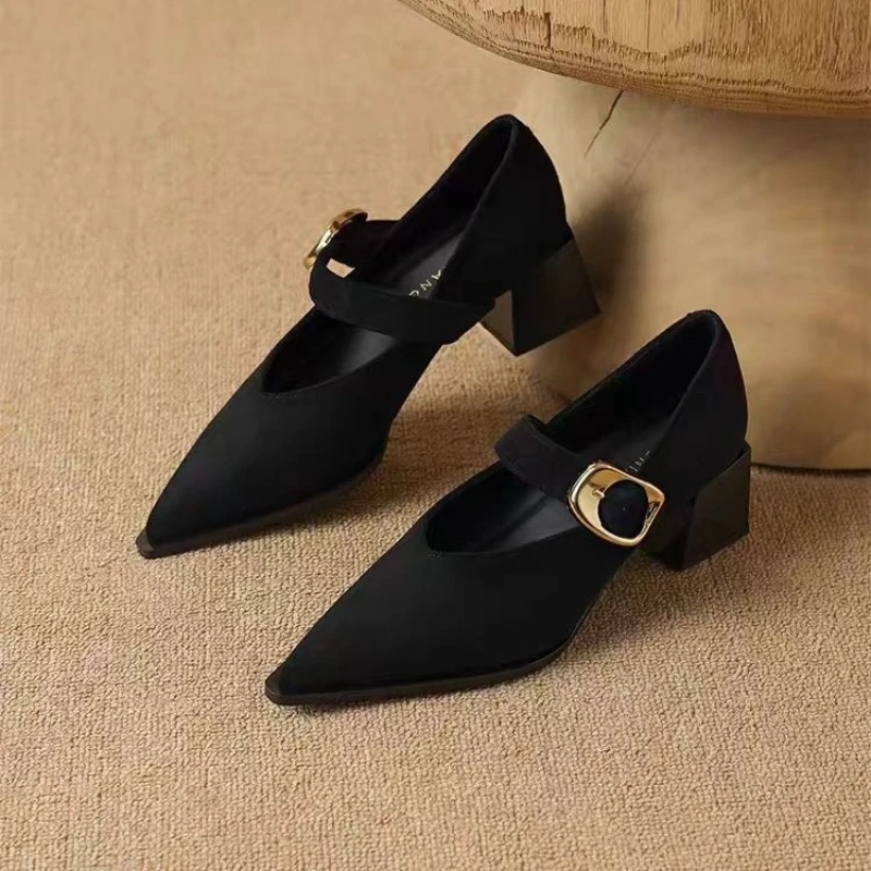 Aphixta Mid Heel Pumps Metal Duckle Spring Autumn Shoes Elegant Women Mary Janes Shoes Cow Suede Square Heel Shallow Woman Shoes