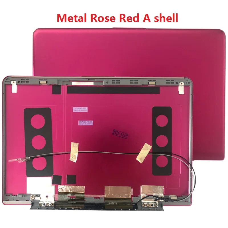 Rose red A shell