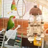 Coconut Shell Parrot Chewing Toy Hanging Natural Wooden Parrot Cage Bite Toy Medium Large Bird Supplies игрушки для попугаев 4