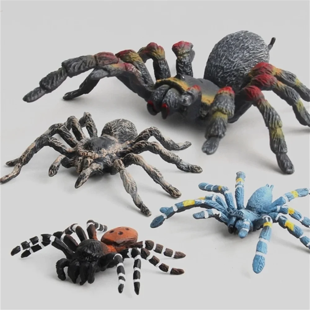 

Simulation Animal Insect Spider Model Action Figure Collection Miniature Cognition Educational Toys Children Gift