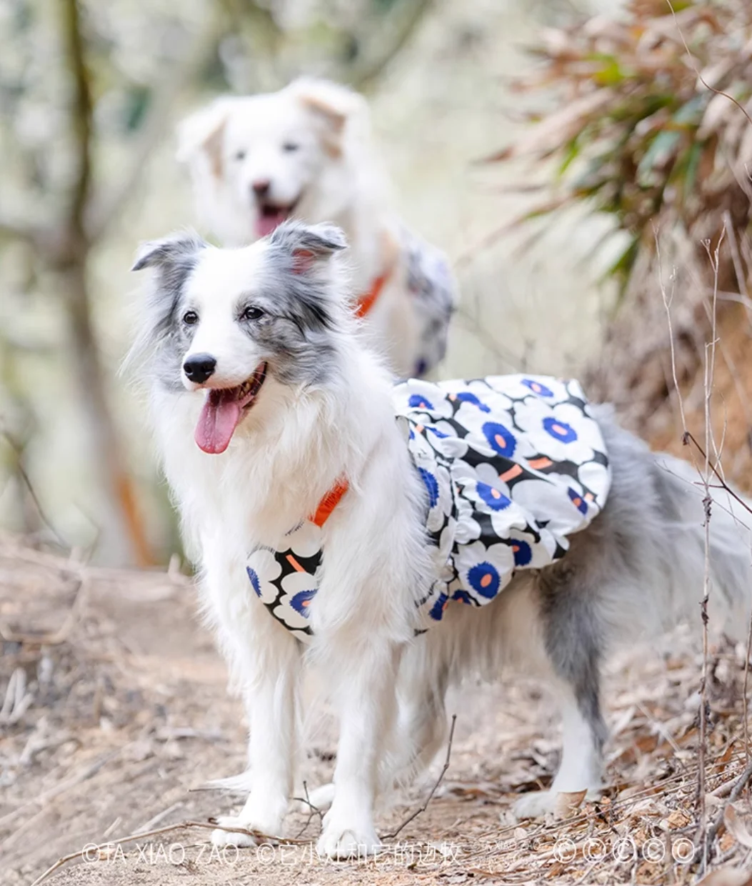 Soft Pet Dog Floral Dress - PeticaDeals