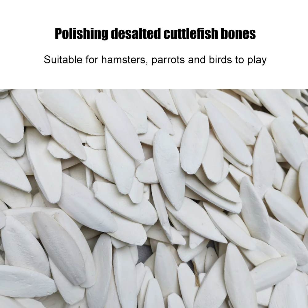 Cuttlefish Bone Natural Parrot Calcium Supplements Bird Food Pick Stone Molars Chewing Toy For Cockatiel Parakeet Parrot parrot toy bird toy pet mineral supplement bird food