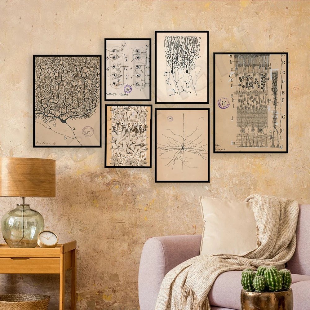 vintage poster neuron drawing santiago ramon and cajal wall art antique brain anatomy canvas print anatomy biology illustration