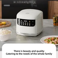 Cuiseur à riz intelligent Compact, capacité de 2 litres, idéal pour 1-2 personnes, mini cuiseur à riz 400W avec fonction minuterie, parfait pour la maison ou la voiture 2