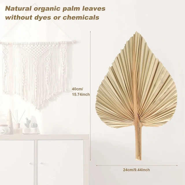 4 Darab Természetes Szárított Pálma Levelek Szoba Dekoráció Trópusi Ventilátorok Dekorációja Egy Gyönyörű Boho Otthoni Esküvői Dekorációhoz - Image 6