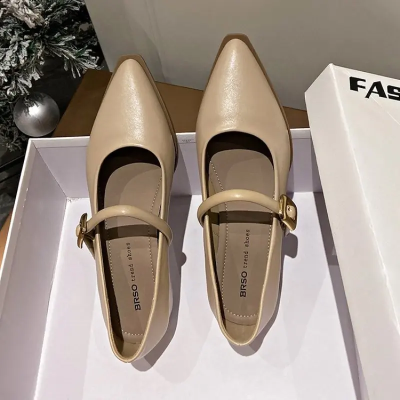 Pointed Toe High Heels Women Shoes New Chunky Dress Party Shoes 2024 Spring Summer Sandals Designer Brand Pumps Female Plus Size