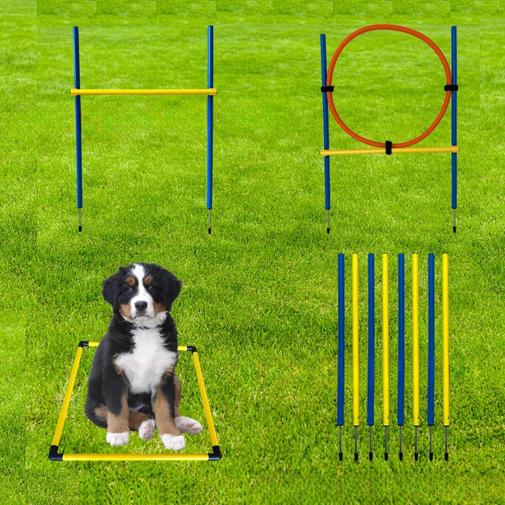 Dog Trainer Agility Training Equipment