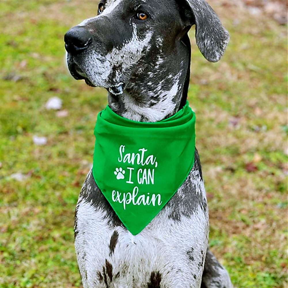 

Personalised Dog Bandana Santa I Can Explain Color Options Dog Accessories Pet Accessories for Dog Wedding Birthday Party Gift
