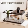 Reptile Terrariums Desktop Ecological Tank Amphibious Transparent Landscaping Terrariums Turtle Tarantulas Geckos Breeding Box 3