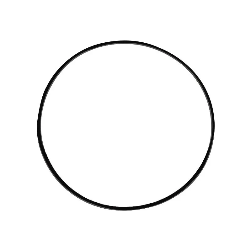 Рисунок 5 - запасной ремень для двигателя LDS