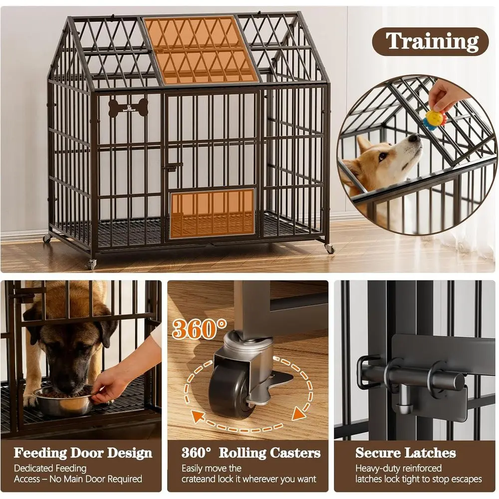 description
