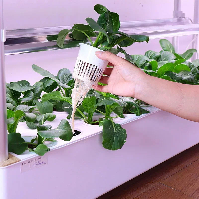 Intelligent planter indoor large soilless cultivation complete set of equipment vegetable strawberry planting box 3