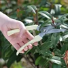 Stainless Steel Pruning Scissors Cutting Multifunctional Flower Tree Branch Bypass Garden Pruner Hand Shear Clipper Tool 1