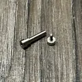 Silver screw