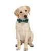 Dog Collar with Bow tie,Christmas Plaid Snowflake Dog Collar with Adjustable Buckle Suitable for Small Large Dogs Cats Pets 4