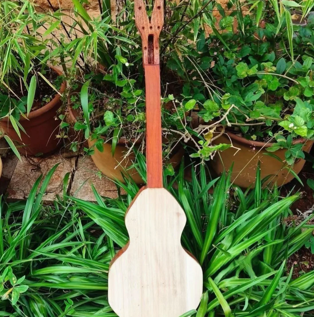 China Yunnan Sanxian Three-stringed Browne Xishuangbanna Intangible heritage handmade stringed instrument