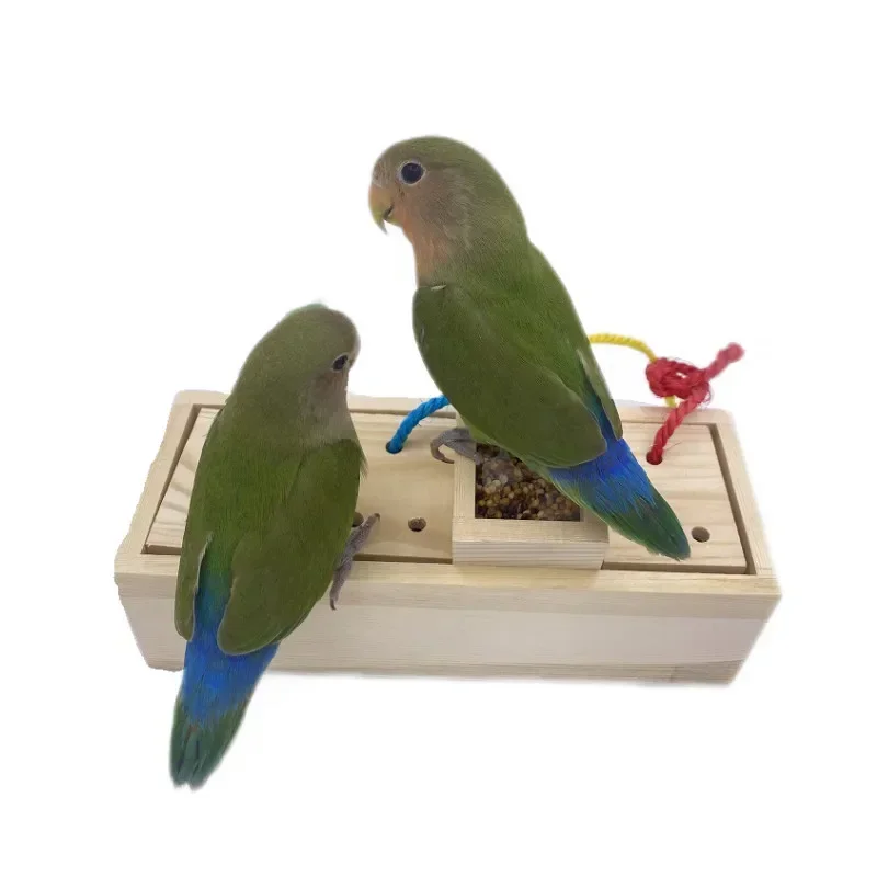 Parrot Toys, Wooden Foragers, Bird Supplies, Training, Puzzle, Biting, Popular Products From Manufacturers, in Stock Bird Toys