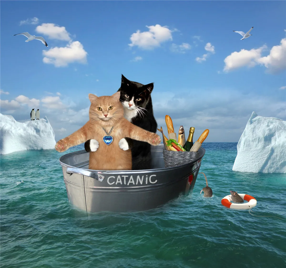 101 Drifting cat