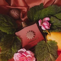 AMOUAGE Guidance 46 100ml Extrait de Parfum Floral Boisé Rose Encens Vanille Ambre Parfum Unisexe de Luxe Longue Durée 5