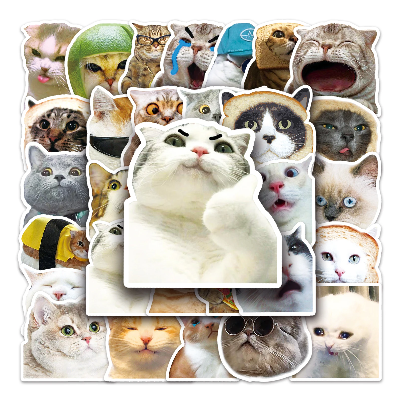 Sticker Cat. Random Random 10/50 Piece Funny Cat DIY Creative Motor/Car/helmet Stickers ...