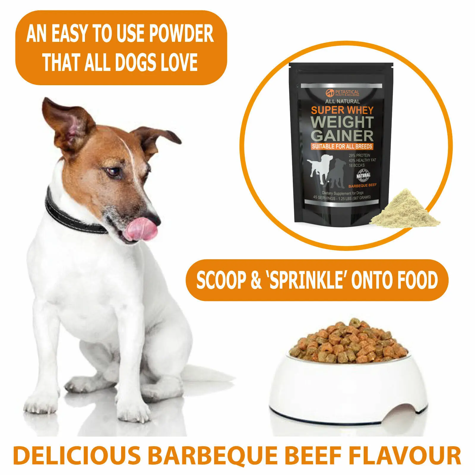 Can You Give A Dog Protein Powder