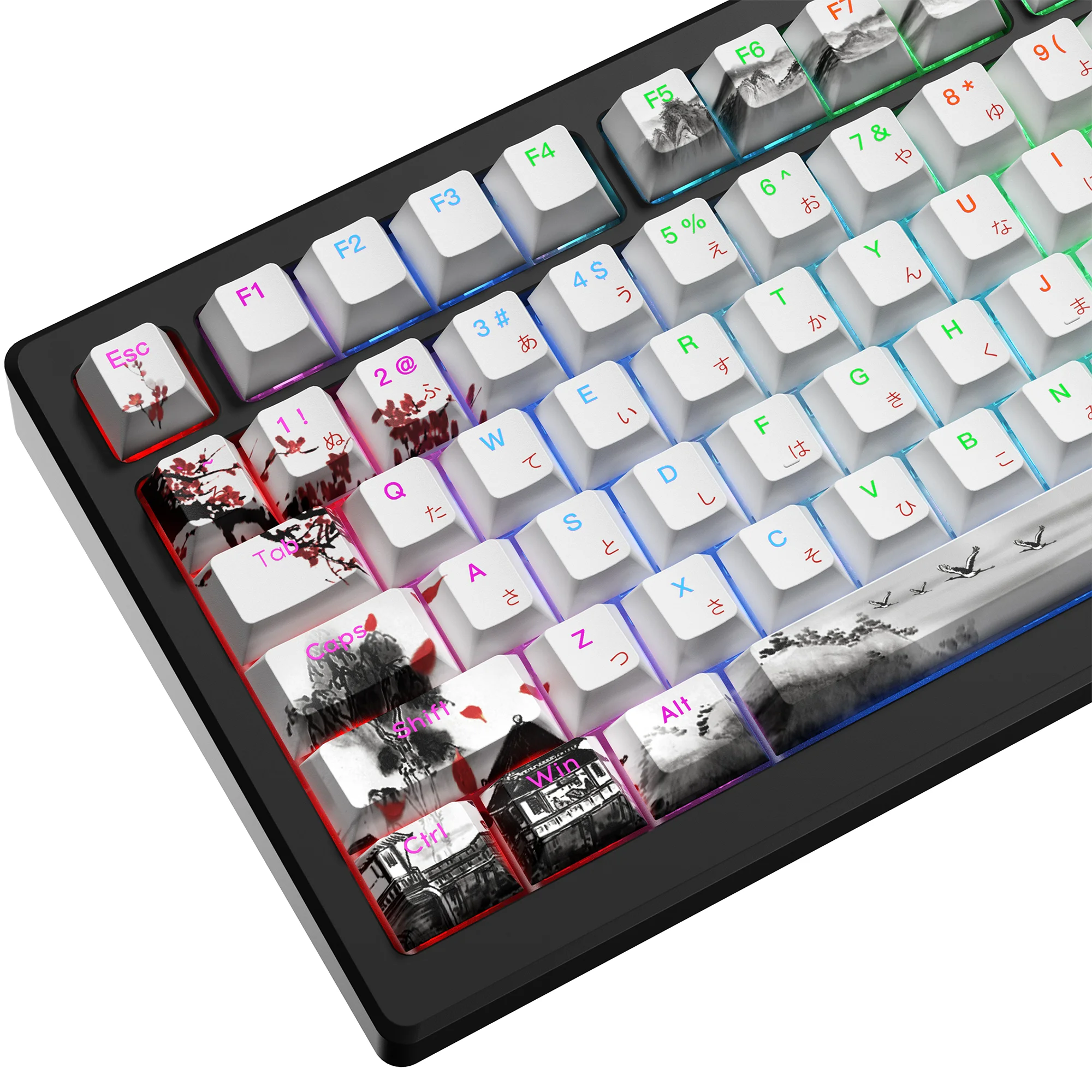 XVX Shine Through Plum Blossom Japanese character Cherry Profile