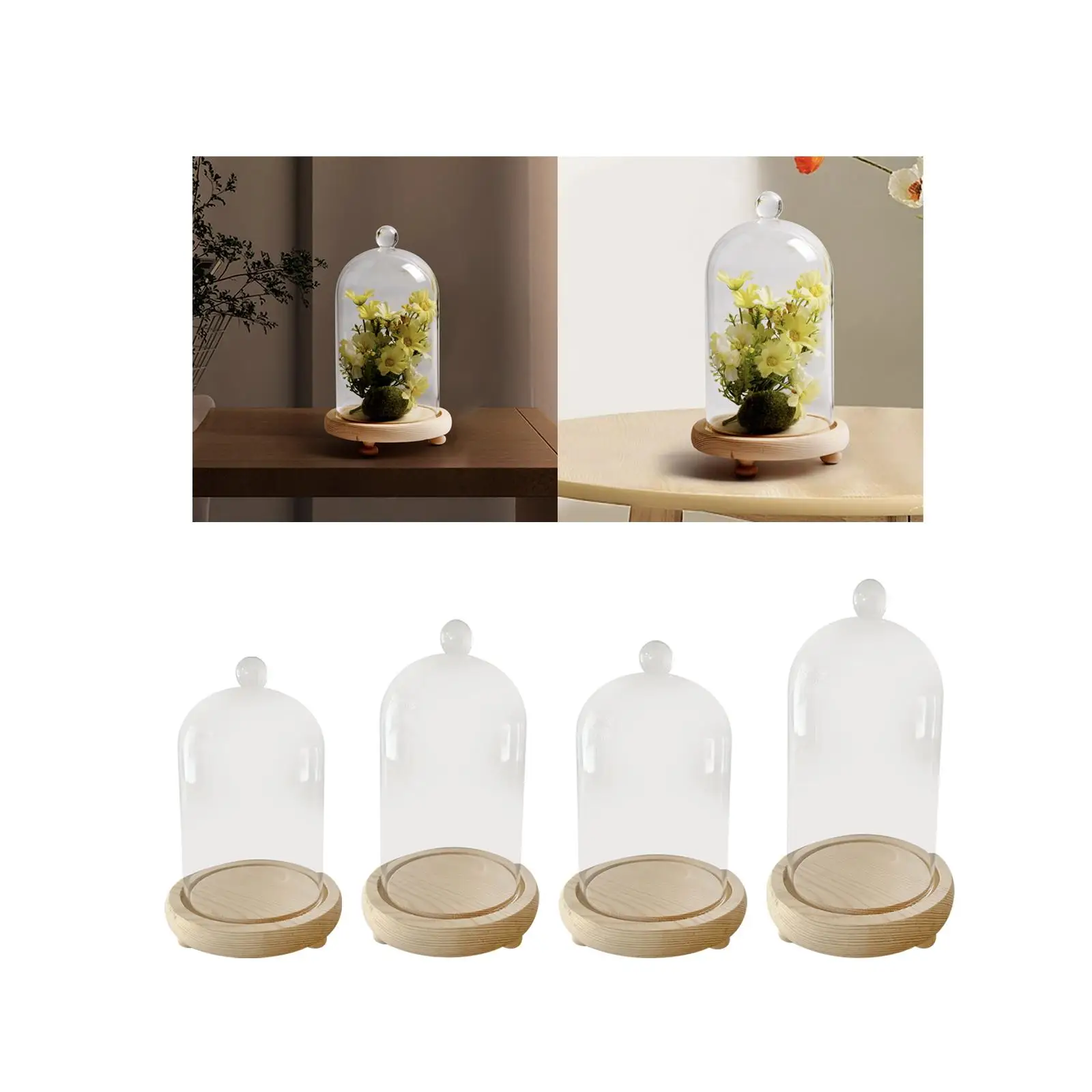 Cloche Glass Dome Display Bell Jar Decorative Multifunctional Rustic Showcase Wood Base Transparent Cover for Artificial Plants glass display dome