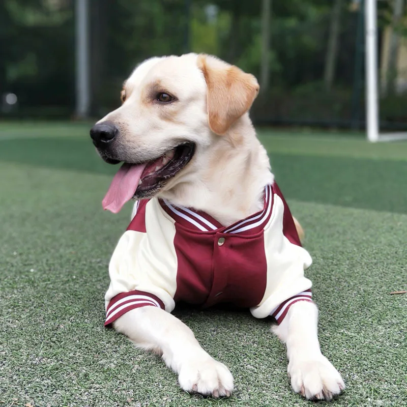 Large Dog Fashion Clothes Labrador Golden Retriever Baseball