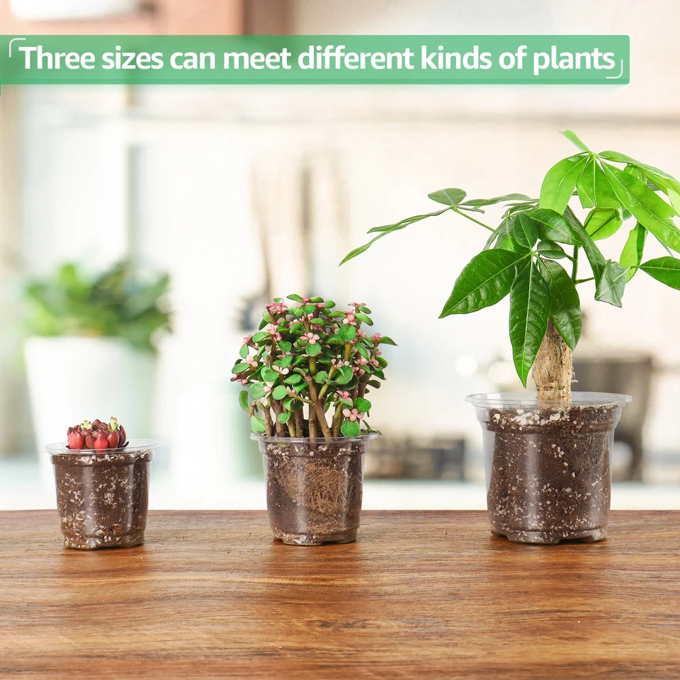 20 Vasi Trasparenti Per Piante In Plastica - 15,2 Cm Con Fori Di Drenaggio - Ideali Per Piantine, Orchidee E Succulente
