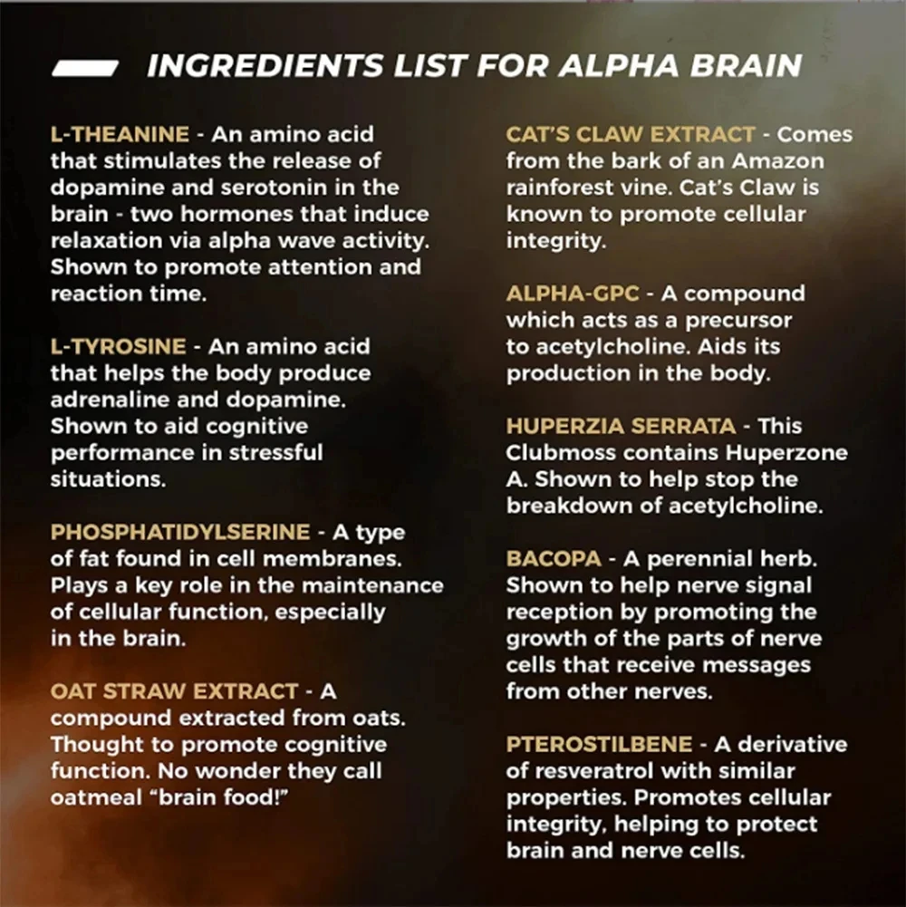 Alpha Brain Capsules Intelligence Capsule 60 Pcs Promotes Brain Supplementation Vegetarianism Help Support Menory nootropics supplement