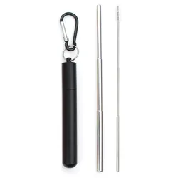 Compact Stainless Steel Telescopic Straw Set with Cleaning Brush (Black)