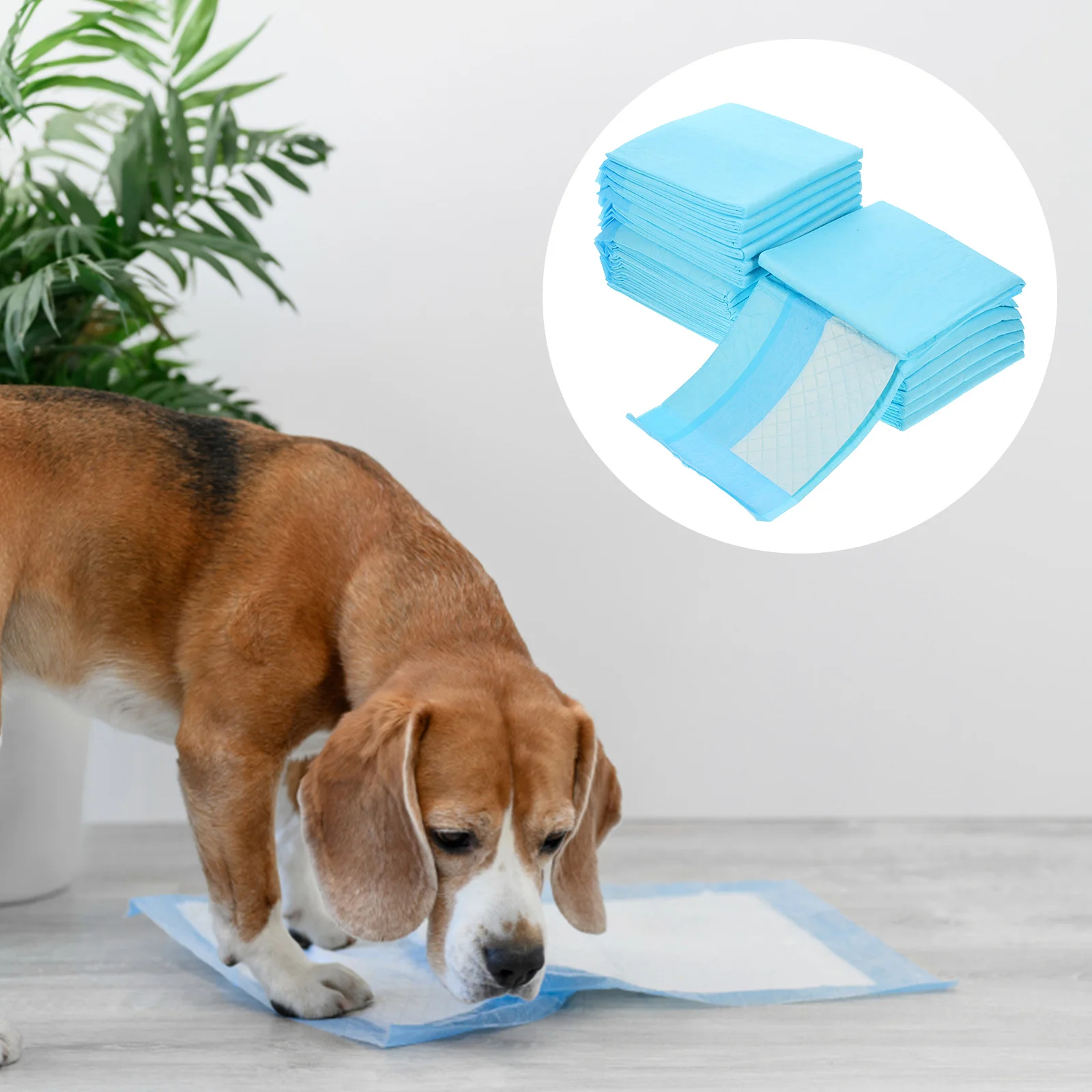 

40 Pcs Super Absorbent Waterproof Dog Pads Puppy Pet Training The Cat Changing Mat Pee For Non-woven Fabric Supplies