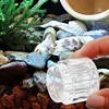 10/1pcs Aquarium Planarians Trap Acrylic Transparent 8-Hole Red Shrimp Worm Trap Leech Pest Catcher Fish Tank Cleaner Tools 4