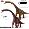 Brachio 1pcs