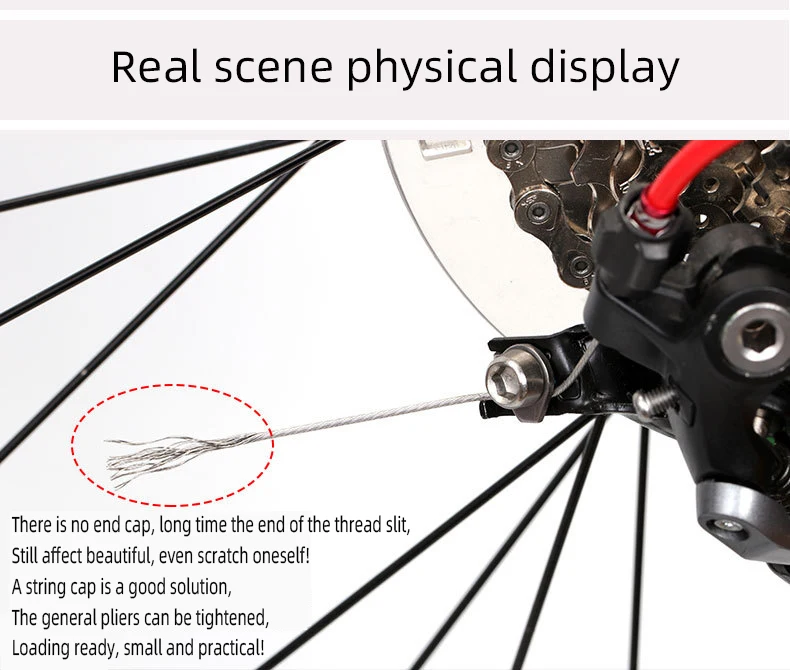 S41a0559daf75480685df7772f82e27def.jpg?width=790&height=670&hash=1460