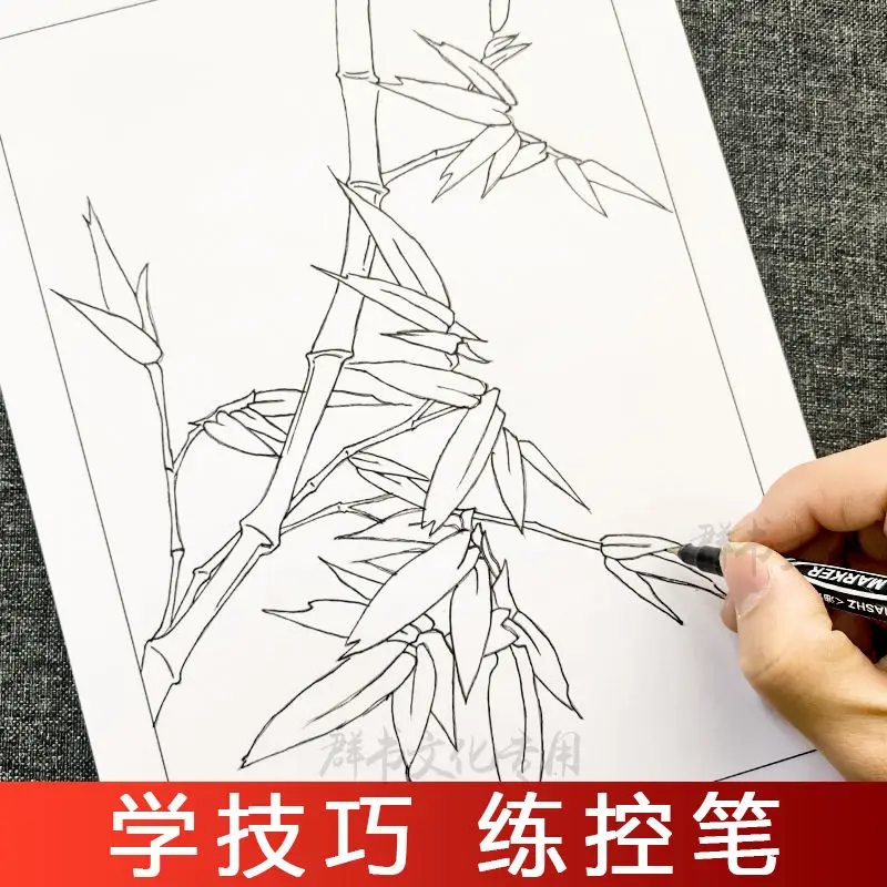 

Chinese painting introduction decomposition skills line drawing copy painting book plum orchid bamboo chrysanthemum coloring boo