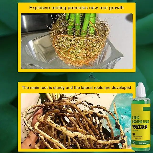 Zamatos Gyökérgyökér Folyékony Növényi Gyökérzet Stimulátor Tápanyag Gyors Gyümölcsök Növekedési Javító Szer - Image 3