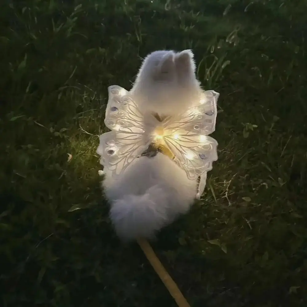 Glowing Butterfly Pet Wings 4
