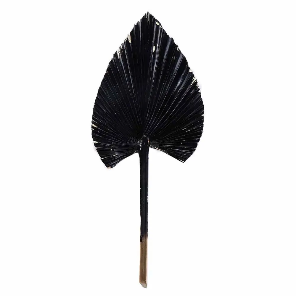 Description Picture 5 of item1 Pcs Bohemian Tropical Fan Leaf Colorful Palm Spears Dried Plant DIY Natural Trimmed Party Decoration Leaves